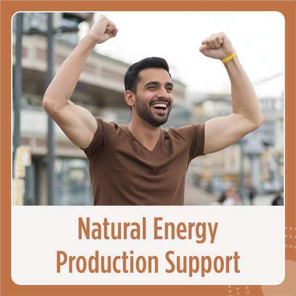 Tongkat Ali Extract Capsule