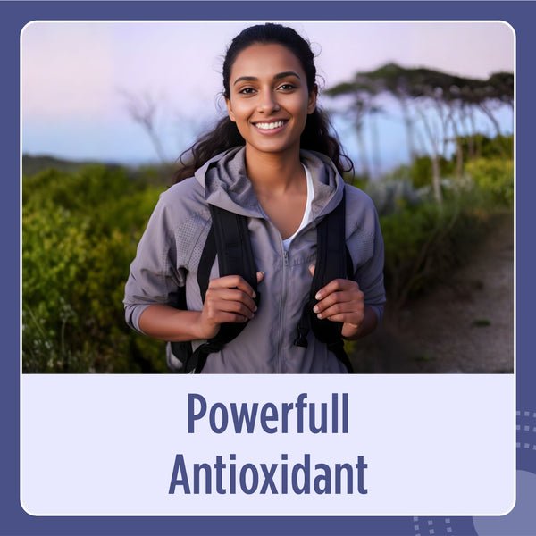 Milk Thistle Extract Capsules