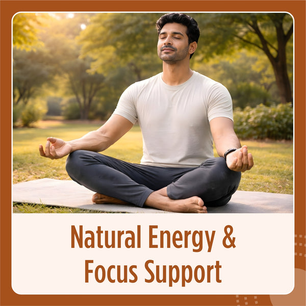 Ceylon Cinnamon Capsule