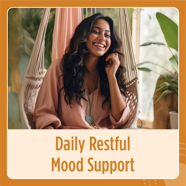 Lion's Mane Extract Capsule