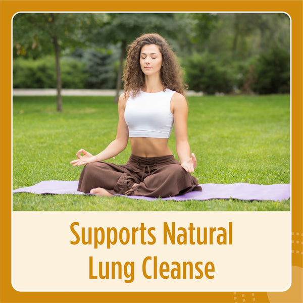 Mullein Leaf Extract Capsule