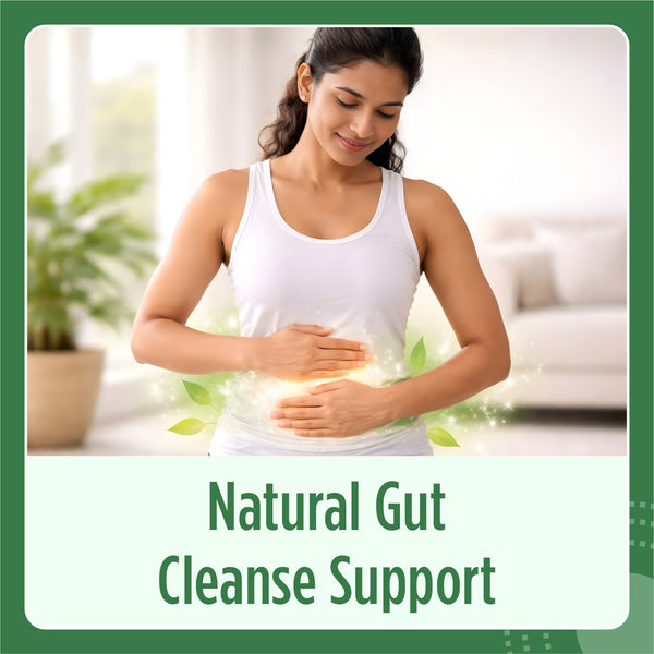 Gymnema Extract Capsule