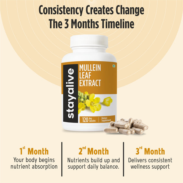 Mullein Leaf Extract Capsule