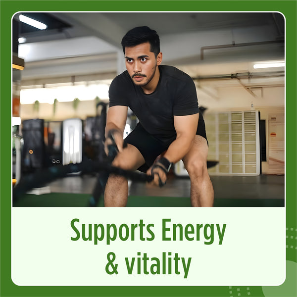 Ashwagandha Extract Capsule