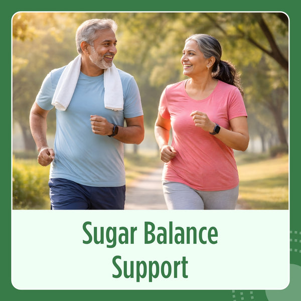 Gymnema Extract Capsule