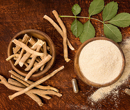 What is The Best Time to Take Ashwagandha? Morning or Night - StayAlive IN