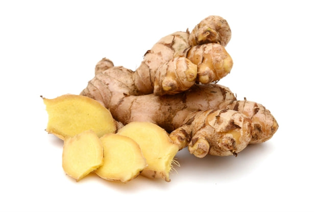 Ginger root extract supplement
