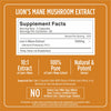 Lion's Mane Extract Capsule