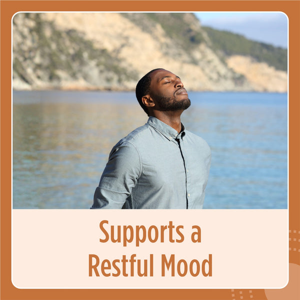 Mushroom Complex Capsules