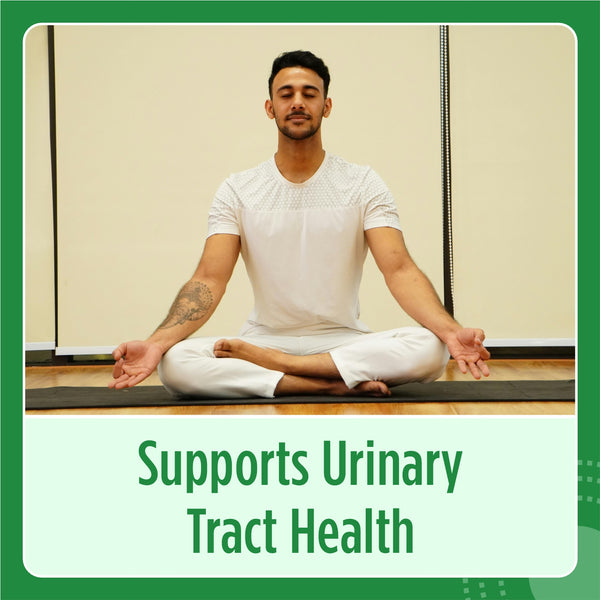 Saw Palmetto Capsule