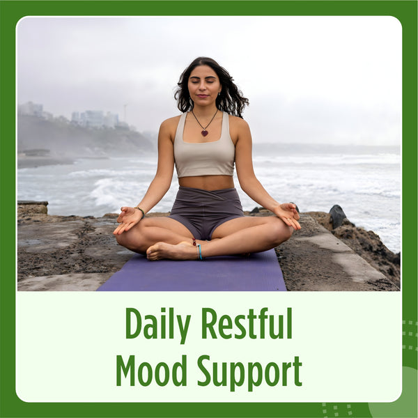 Ashwagandha Extract Capsule