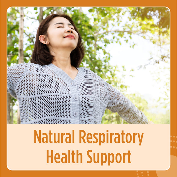 Boswellia Extract Capsule