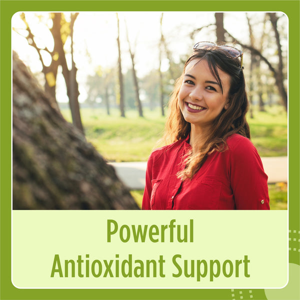 Moringa Extract Capsule